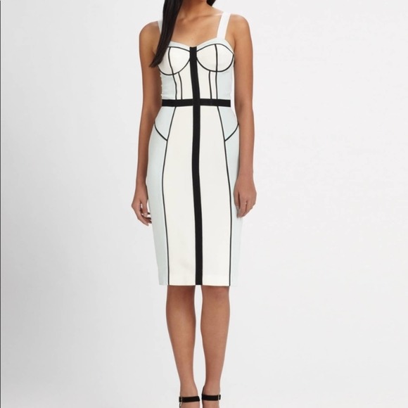 Rebecca Minkoff 100% Silk Bodycon Bustier Dress Size 0 - Picture 2 of 12